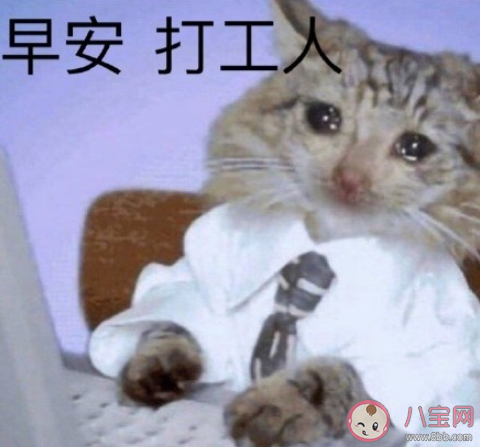 打工人是什么意思什么梗 打工人經典語錄表情包大全
