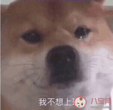 打工人是什么意思什么梗 打工人經典語錄表情包大全