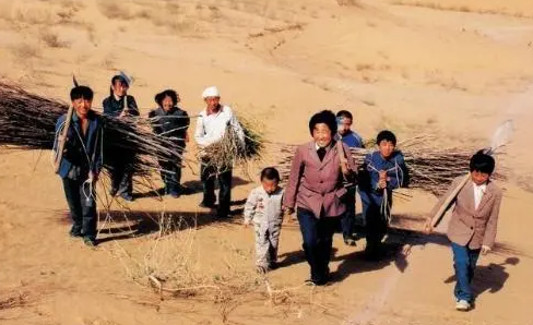 回鄉之路是真實事件改編的嗎 回鄉之路真人真事介紹