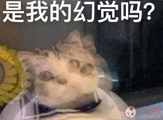 女生換季式失明是什么意思什么梗 女生換季沒衣服穿心情感言