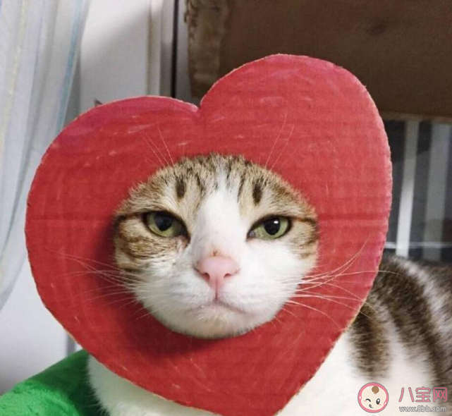 很幽默很皮的句子大全 朋友圈皮到?jīng)]朋友的文案