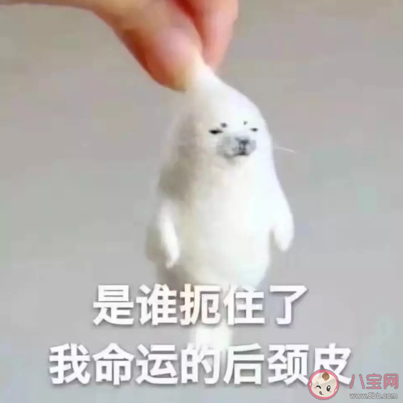 很幽默很皮的句子大全 朋友圈皮到?jīng)]朋友的文案