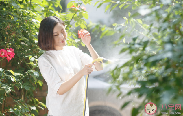 孕婦適合養哪些花 孕婦家里不適合養什么花2020