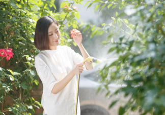 孕婦適合養(yǎng)哪些花 孕婦家里不適合養(yǎng)什么花2020