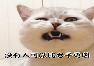 神反轉的沙雕朋友圈文案大全 適合發朋友圈的神反轉說說句子