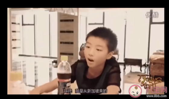 我是從新加坡來的是什么意思 我是從新加坡來的梗的出處是什么 我是從新加坡來的是什么意思 我是從新加坡來的梗的出處是什么