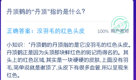 丹頂鶴的丹頂指的是什么 紅色頭皮還是毒藥鶴頂紅