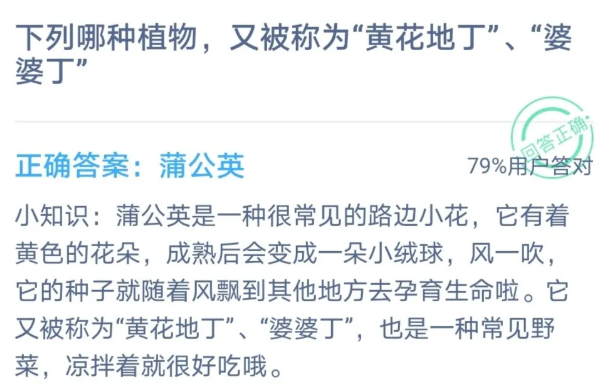 哪種植物被稱為黃花地丁婆婆丁 螞蟻莊園10月15日答案