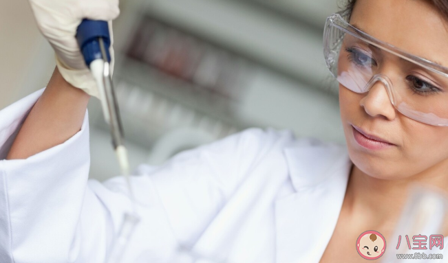 高壓蒸煮不能破壞米酵菌酸毒性是真的嗎 米酵菌酸是如何產生的