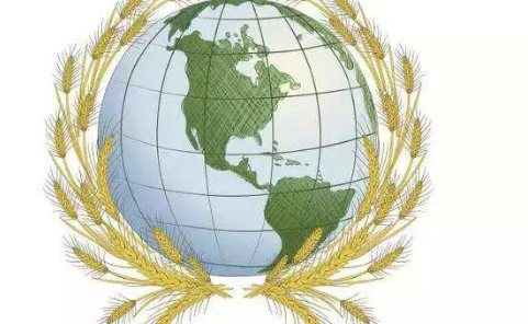 2020世界糧食日是幾月幾號 世界糧食日哪一天 2020世界糧食日是幾月幾號 世界糧食日哪一天