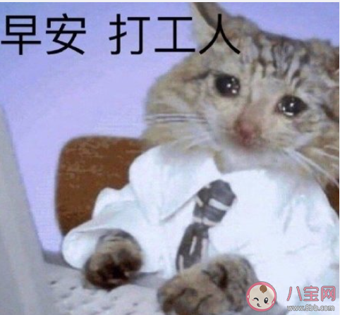 打工人經典語錄說說心情短語 打工人經典句子朋友圈說說 打工人經典語錄說說心情短語 打工人經典句子朋友圈說說