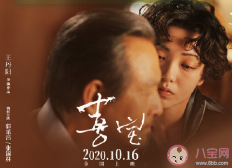 《喜寶》觀后感影評怎么寫 《喜寶》觀后感范文大全