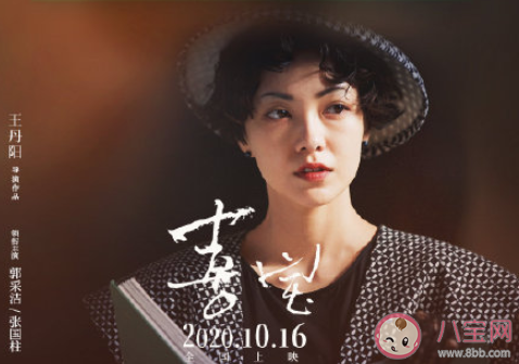 《喜寶》觀后感影評怎么寫 《喜寶》觀后感范文大全