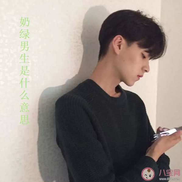 奶綠男孩是什么意思什么梗 類似形容男生的詞語盤點 奶綠男孩是什么意思什么梗 類似形容男生的詞語盤點