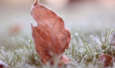 配雪景的唯美說說句子 下雪了的朋友圈文案