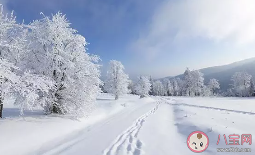 2020下雪了朋友圈文案 描繪雪景的經(jīng)典句子