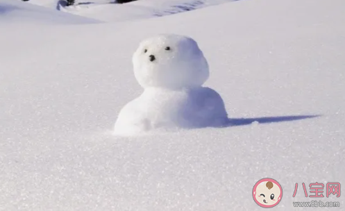 2020打雪仗堆雪人作文500字范文 打雪仗堆雪人作文素材 2020打雪仗堆雪人作文500字范文 打雪仗堆雪人作文素材