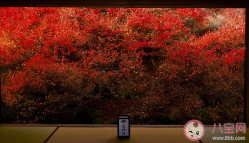 秋風溫柔的說說句子 文藝的秋風句子大全 秋風溫柔的說說句子 文藝的秋風句子大全