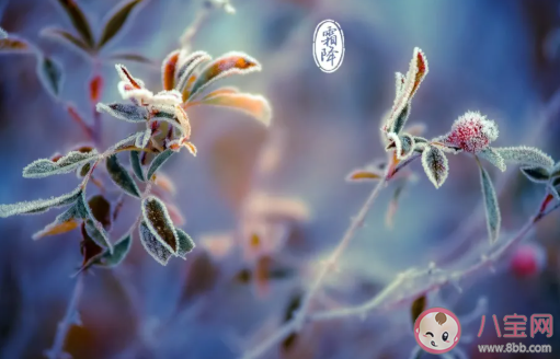 2020霜降快樂的經(jīng)典句子 霜降快樂的唯美說說