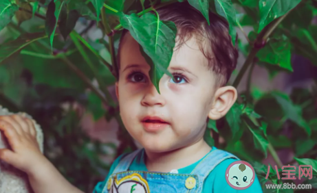 唐嫣為什么稱自己為貓媽 虎媽貓爸的教育真的好嗎