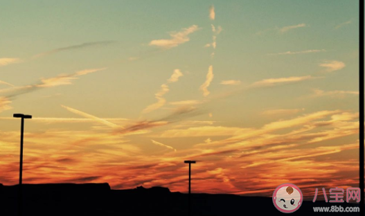 霜降關于人生感悟的句子 今日霜降心情短語