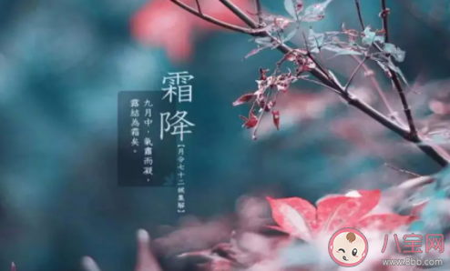 霜降發給朋友的經典祝福語 霜降暖心祝福句子