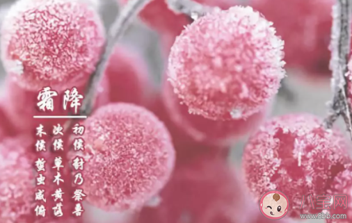 霜降發(fā)給朋友的經(jīng)典祝福語(yǔ) 霜降暖心祝福句子