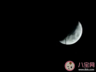 晚安打工人加油勵(lì)志句子 晚安打工人正能量語(yǔ)錄