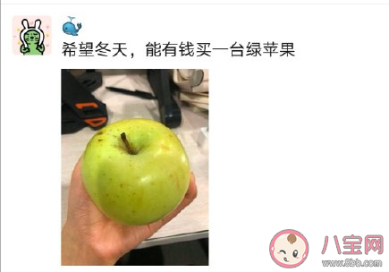 冬天的第一個蘋果是什么梗 ?冬天的第一個蘋果朋友圈文案說說大全