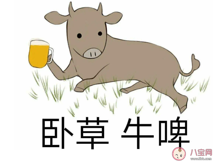 諧音梗到底low不low 有趣搞笑的諧音梗文案合集 諧音梗到底low不low 有趣搞笑的諧音梗文案合集