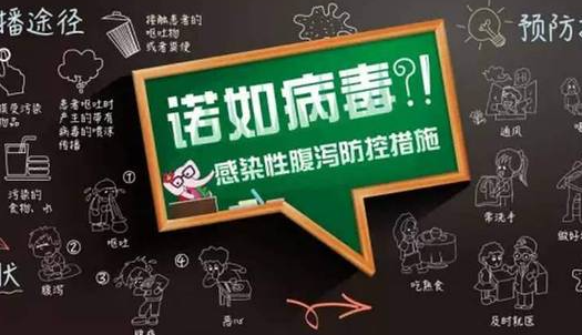 哈爾濱16名學生感染諾如病毒怎么回事 諾如病毒傳播途徑有哪些 哈爾濱16名學生感染諾如病毒怎么回事 諾如病毒傳播途徑有哪些
