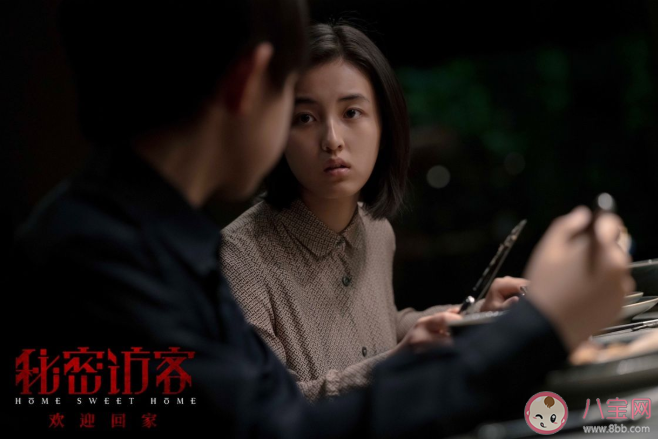 《秘密訪客》講述了什么故事 《秘密訪客》好看嗎