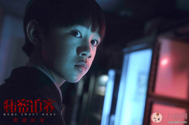 《秘密訪客》講述了什么故事 《秘密訪客》好看嗎