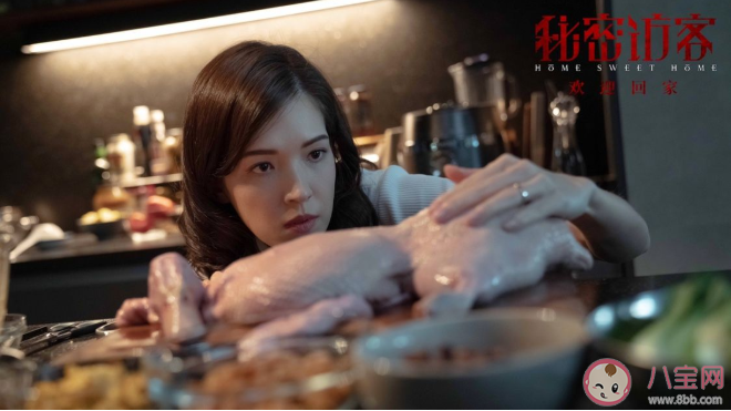 《秘密訪客》講述了什么故事 《秘密訪客》好看嗎