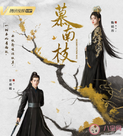 《慕南枝》原著小說是什么 《慕南枝》講的是什么故事