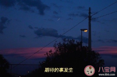 朋友腦閨蜜是什么意思 朋友腦閨蜜什么梗