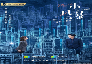 電視劇《小風(fēng)暴之時(shí)間的玫瑰》改編自什么小說(shuō) 《小風(fēng)暴》講述了什么故事