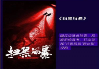 《掃黑風暴》講述了什么故事 《掃黑風暴》是根據真實故事改編的嗎