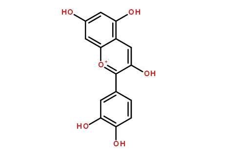 一日三變色的花是什么 木芙蓉為何能一日三變色