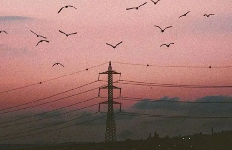 打工人最喜歡的方式是什么 打工人最喜歡什么事情