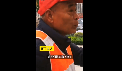 商場(chǎng)給銀杏綁假樹(shù)葉怎么回事 為什么要這么做呢