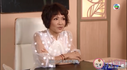 TVB天王嫂培訓(xùn)班是什么劇哪一集 TVB天王嫂培訓(xùn)班在哪里可以看