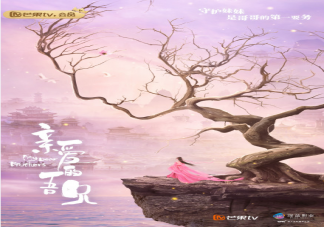 《親愛的吾兄》是根據小說改編的嗎 親愛的吾兄各人物角色介紹