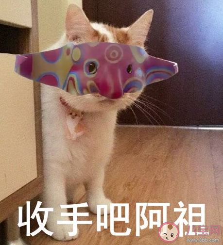 收手吧阿祖是什么意思 收手吧阿祖是什么梗