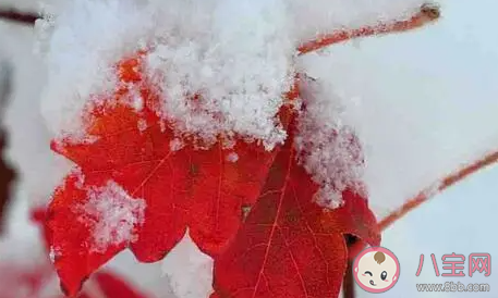 今日立冬的走心文案 立冬節氣的暖心句子