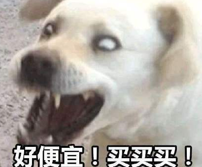 2020雙十一剁手搞笑說說帶圖片 雙十一剁手付尾款段子 2020雙十一剁手搞笑說說帶圖片 雙十一剁手付尾款段子