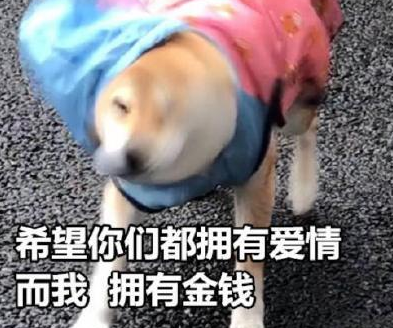 網絡詞匯雙節棍什么意思 雙十一雙節棍什么梗