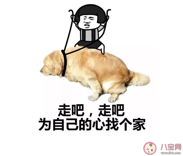 雙十一光棍節(jié)單身文案句子 雙十一光棍節(jié)幽默說說句子