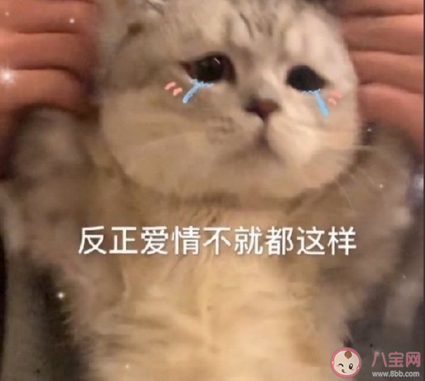 雙十一光棍節心情說說 光棍節脫單告白文案 雙十一光棍節心情說說 光棍節脫單告白文案