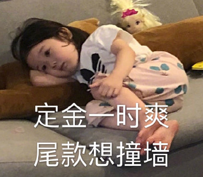 用四個字形容雙十一后的經濟狀況 付完尾款的你是怎樣的